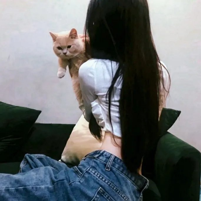 我的魔法仙妻
